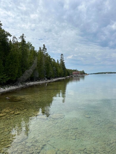 0 S Coryell Island unit 23-1152, Cedarville, MI 49719 - photo 3