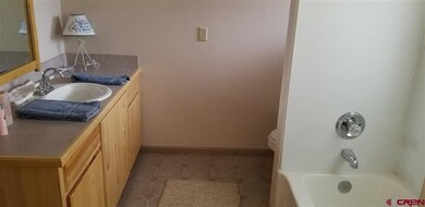 0 Armitage Springs Rd unit 762907, Powderhorn, CO 81243 - photo 7