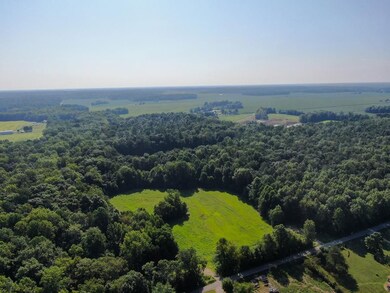 7565 S County Rd 800 W, Paris Crossing, IN 47270 - photo 2