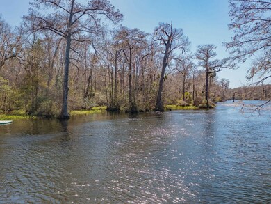 Lot 33 River Plantation Rd, Crawfordville, FL 32327 - photo 3