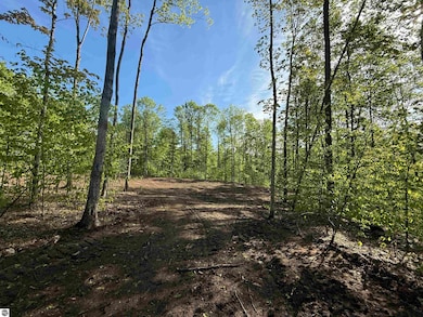 1371 E Solaris Way, Maple City, MI 49664 - photo 2