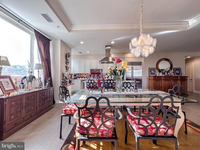 The Ritz-Carlton Residences unit P-12A, Baltimore, MD 21230 - photo 6