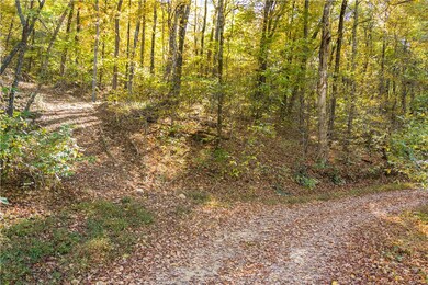 0 County Rd unit 1175082, Elkins, AR 72727 - photo 2