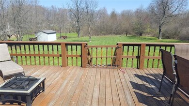 Here's you view from the back deck. Property line 