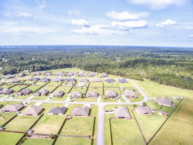 DJI_0100