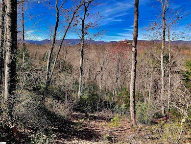 1 Sweet Fern Way, Marietta, SC 29661 - photo 5