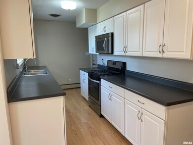 29 Tulip Dr, Lincoln, IL 62656 - photo 7