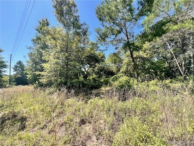 4956 E Posselt Dr, Hernando, FL 34442 - photo 5