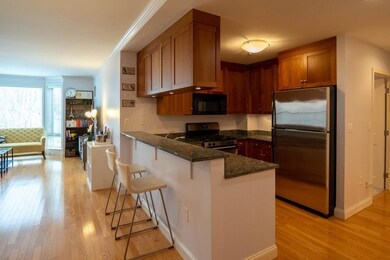 2-14 Saint Paul St unit 307, Brookline, MA 02446 - photo 6