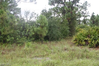 1260 Belfast Ave, Lehigh Acres, FL 33913 - photo 4