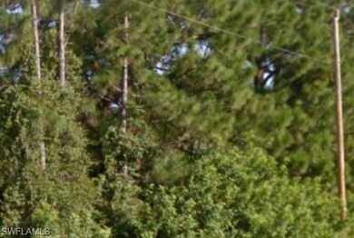 716 Bianca Ave S, Lehigh Acres, FL 33974 - photo 2