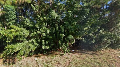 4436/4438 30th St SW, Lehigh Acres, FL 33973 - photo 5