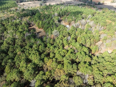 00 County Road 2237, Bagwell, TX 75426 - photo 4