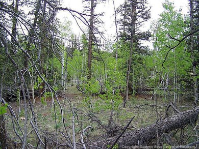 Land/Lot.