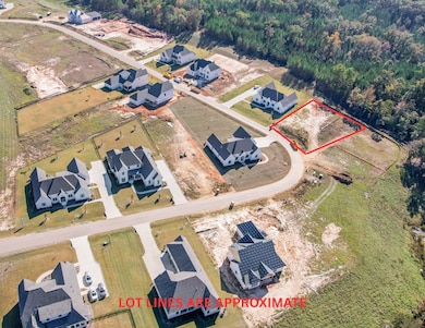 825 Mccleary Dr, Oxford, MS 38655 - photo 2