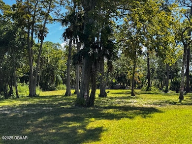 0 Shady Place, Daytona Beach, FL 32114 - photo 2