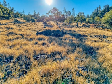 acreage in sonoma county california murr