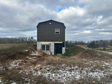 2641 W Van Rd, Pellston, MI 49769 - photo 4