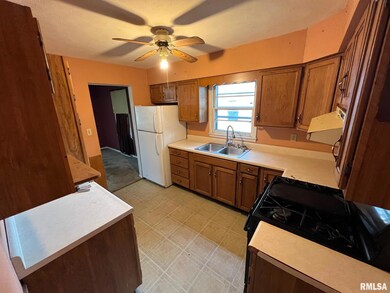 1703 N Ottawa St, Lincoln, IL 62656 - photo 5