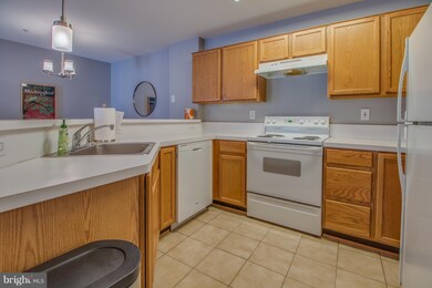 18801 Sparkling Water Dr unit 8101, Germantown, MD 20874 - photo 6