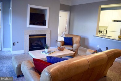 11333 Westbrook Mill Ln unit 203, Fairfax, VA 22030 - photo 2