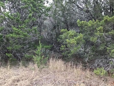 33034 Woodcrest Dr, Whitney, TX 76692 - photo 7