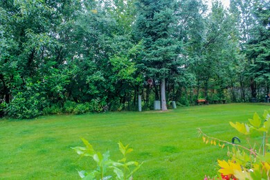 Backyard and Trial