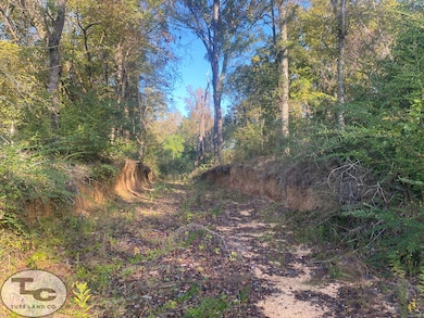 2081 Gallatin St, Hazlehurst, MS 39083 - photo 5