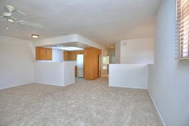 Living/Dining/Kitchen