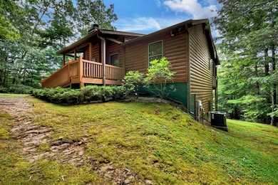 852 Miners Mountain Rd, Sautee Nacoochee, GA 30571 - photo 3