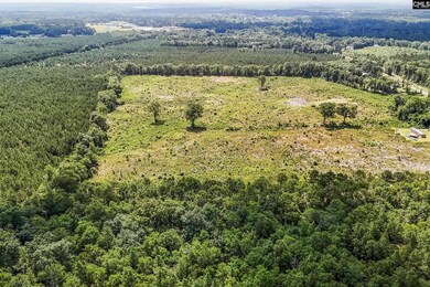 4000 Old Ninety Six Indian Trail, Wagener, SC 29164 - photo 5