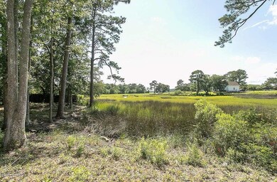 Marsh view 10