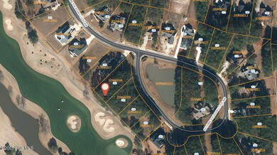 344 Pheasant Autumn Aerial