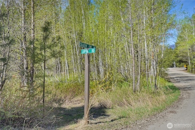 17265 Lake Julius Rd, Leavenworth, WA 98826 - photo 4