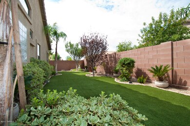 Backyard-2