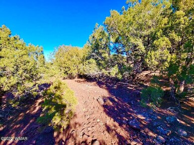 5DA40981-7866-48C0-AFFF-B42DA858D607