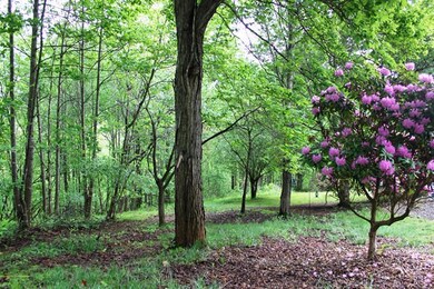 5 acres Country Setting