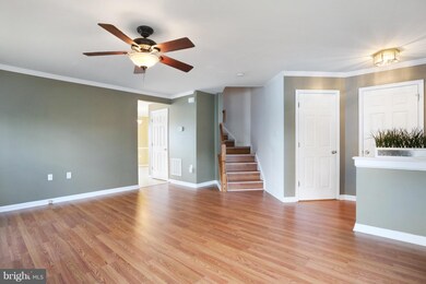 501 Hupps Hill Ct, Strasburg, VA 22657 - photo 3