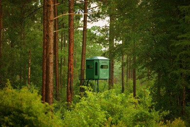 914 Douthit Rd, Sylvester, GA 31791 - photo 5