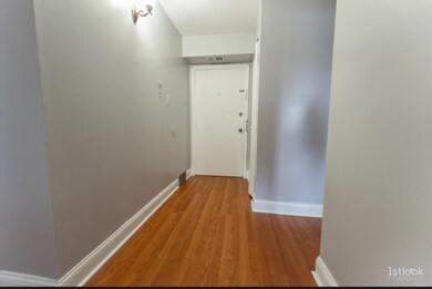 3237 S Manor Dr unit 314, Lansing, IL 60438 - photo 2