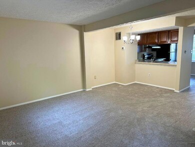 6029 Rowanberry Dr, Elkridge, MD 21075 - photo 4