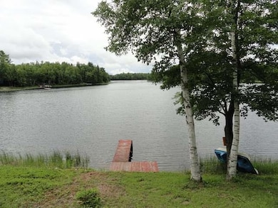 W10641 Bogus Rd, Deerbrook, WI 54424 - photo 2