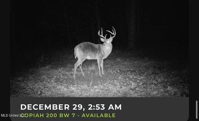 1008 Pleasant Ln, Wesson, MS 39191 - photo 7