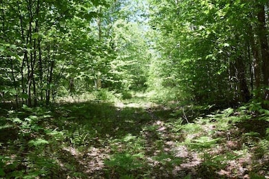 20230719234318710016000000-o