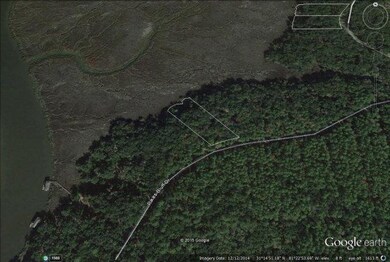 334 Pikes Bluff Dr unit (Lot 199), Saint Simons Island, GA 31522 - photo 2