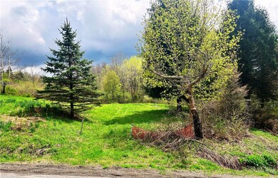 0 Sisson Hill Rd unit R1607206, Unadilla, NY 13849 - photo 2