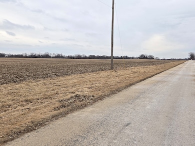 000 E Kyte Rd, Rochelle, IL 61068 - photo 4