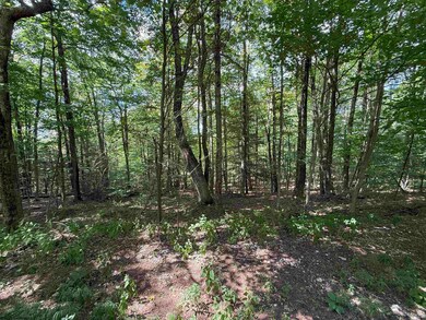 Lot 11 Kumbrabow Rd, Huttonsville, WV 26273 - photo 4