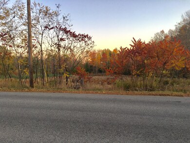 47acres New Dam Rd, Limerick, ME 04048 - photo 5