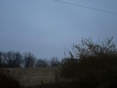 0 N Bellview Rd unit 202507343, Freeport, IL 61032 - photo 5